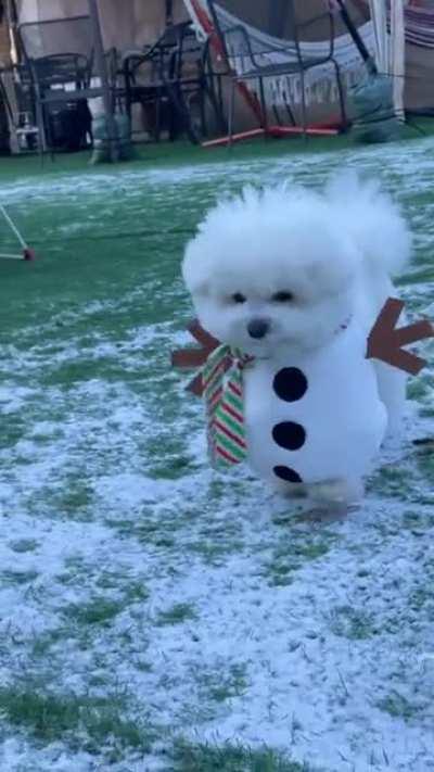 the cutest snowman I've ever seen