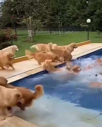 A pool full of gold