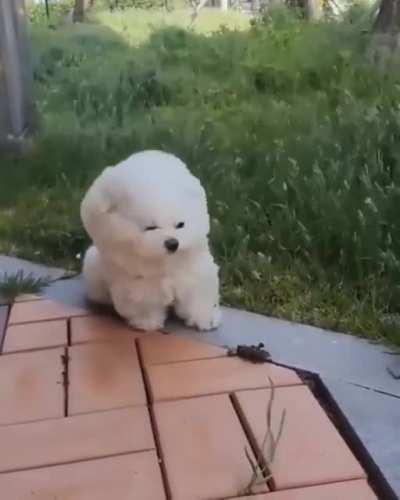 Heckin windy