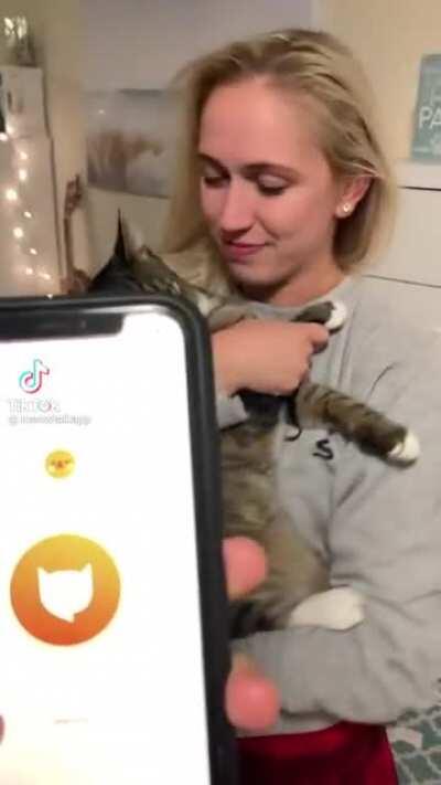 This app translates cat meows