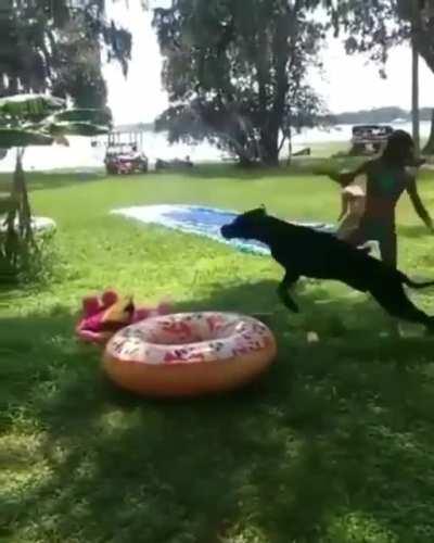 A relaxing day at the lake