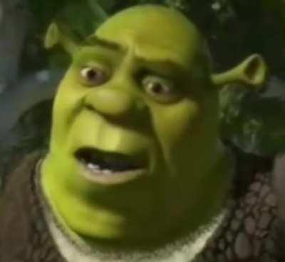 shrek crying