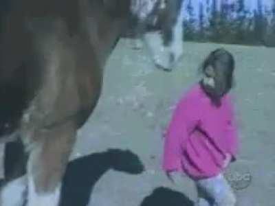 WCGW if I slap this horse.