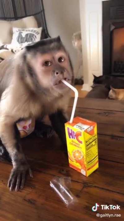 Monke juice ooough ooough