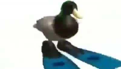 Duck spinning with geometry dash practice music