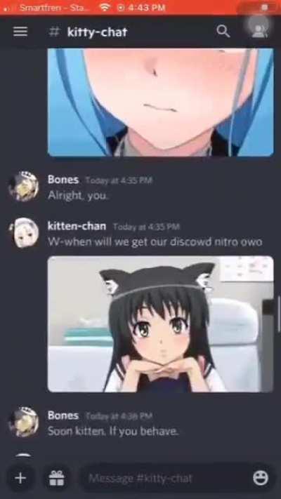 discord Kittens..............