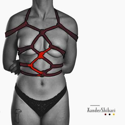 Simple Harness With Redrawn Overlay + Animated Rope Path