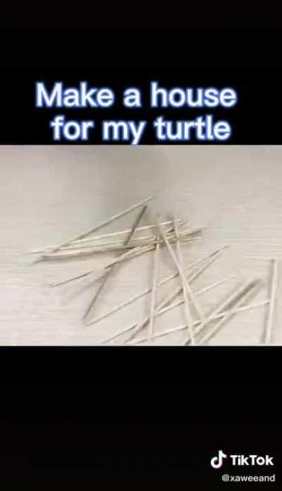 Making a house for a turtle