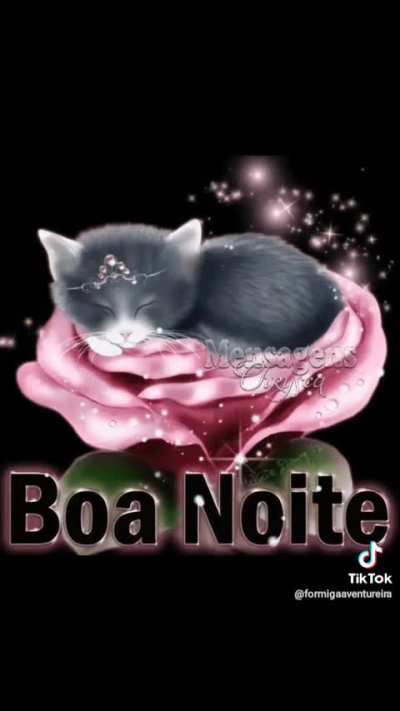 Boa noite