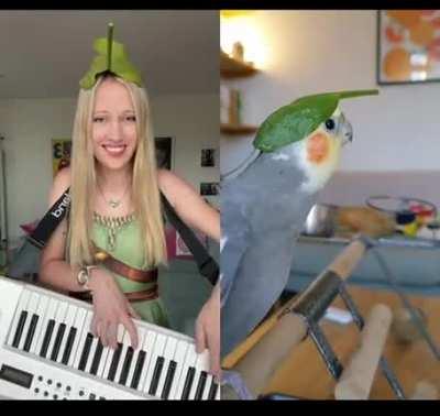 A musical duet with a birb