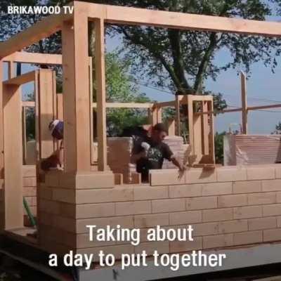 Interlocking Wood bricks for home construction