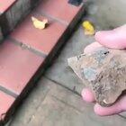 Cracking an obsidian rock open.