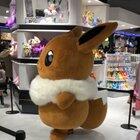 Bouncy Eevee at Pokémon Center Kyoto