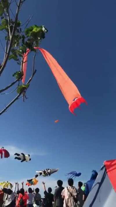 A toddler flying a kite becomes a kite flying a toddler