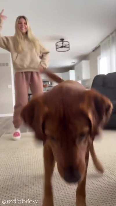 Dog got the moves