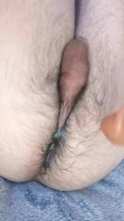 Do you like how creamy my little hairy ass gets? :)