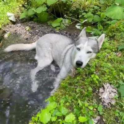 Chilling in the nature. Can't ask for a better jacuzzi.