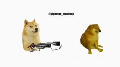 Doge burns the cringe into a crisp