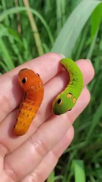 Swallowtail caterpillars mimicking snakes