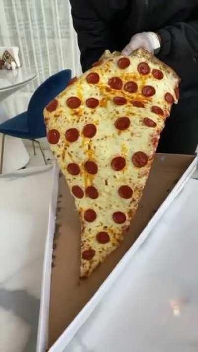 This nasty looking slice of giant pizza.