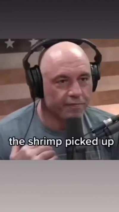 Joe Rogan has confirmed the myth(the shrimp did fry the rice)