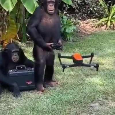 drone monke