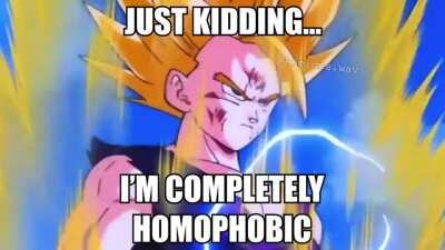 Homophobic Gohan