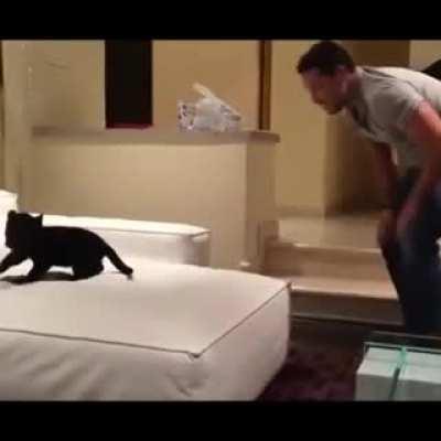 man and panther cub playing 'catch'