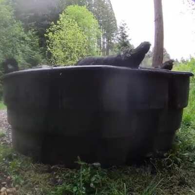 Bear Naked Guy in a Tub Splashing around and Having a Blast