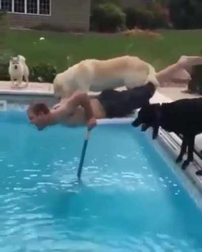 To not to dive in pool