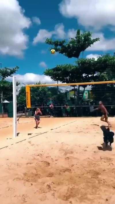 Guy found the perfect footvolley partner 