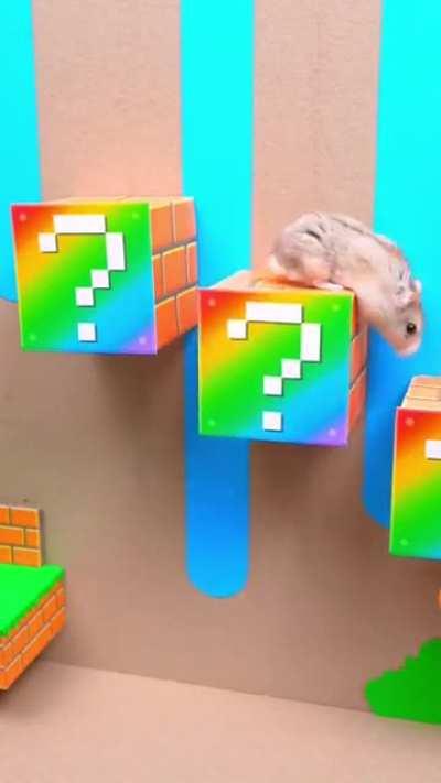 Super Mario hamster maze.. 🤣😂