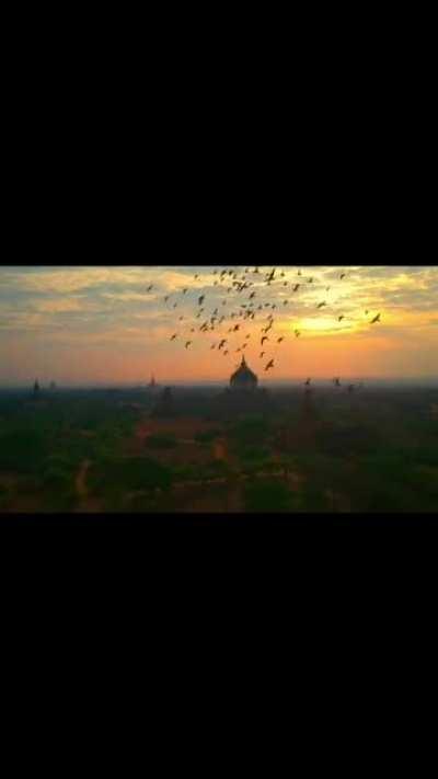 A flock of birds making this drone shot look like a Disney movie.