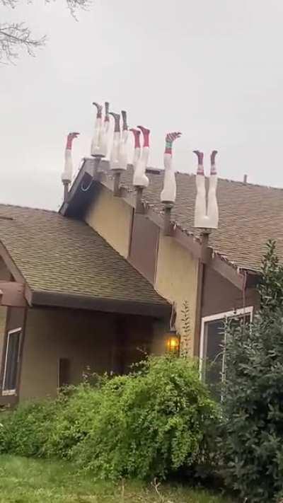 My neighbors Christmas decorations 🧐