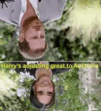 Things get Harry down under