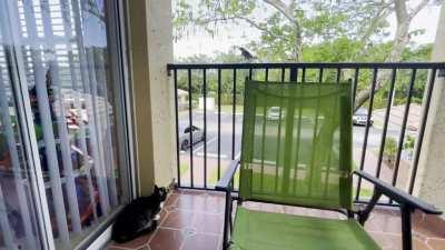 My cat and a bird having a standoff on the patio