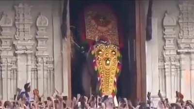 India's tallest elephant, Thechikottukavu Ramachandran - Still alive at age 58 he has killed a record 15 people and 3 elephants in his lifetime and is branded as the most dangerous captive elephant in the state