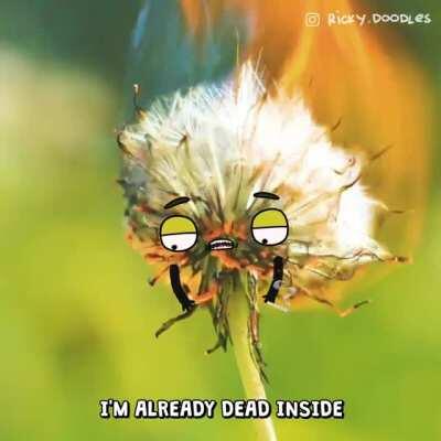 Dandelions are pretty depressive guys (OC)