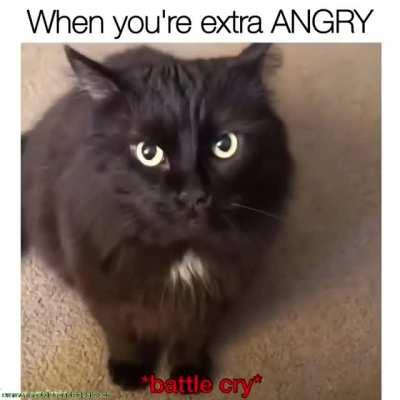 When you're extra ANGRY