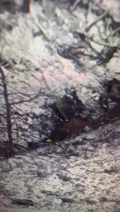 Ukrainian FPV drone failed to explode, so Russian soldier start hitting it with a shovel, video from 92nd Brigade 