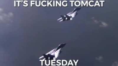 It’s Tomcat Tuesday