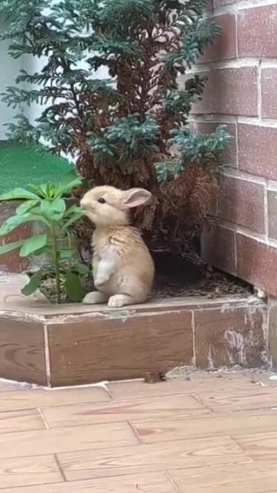 Having a snack.