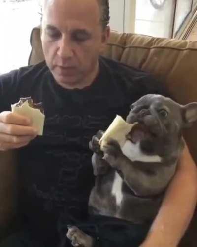 Dog eats Burrito with His human.