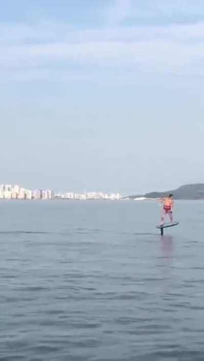 TIL this is called hydro-foiling.