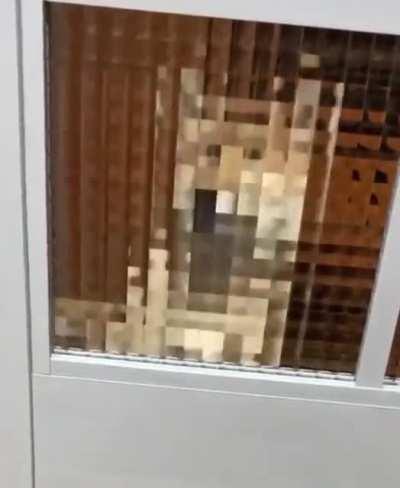 Pixelated Gud Boi