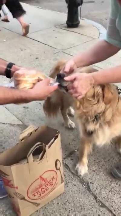 Dog snatches passing shopper's burger buns and refuses to let go