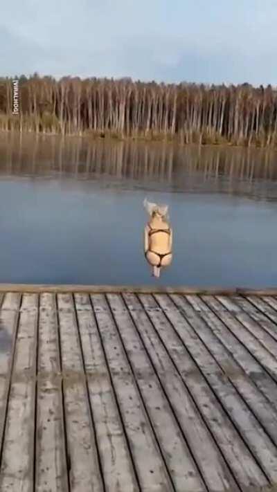 WCGW to take a refreshing dip at lake 😌