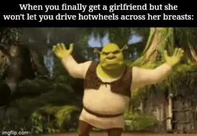 Shrek isn't pleased