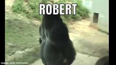 Robert