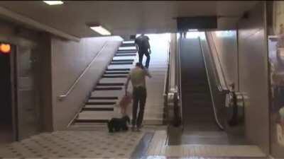 An elegant and fun solution to get people to use stairs instead of escalators